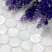 Ultra White Mother of Pearl Tile Penny Round Shell Mosaic Backsplash Kitchen Bathroom Wall Tiles (Tile Size: 1" x 1" x 1/12")